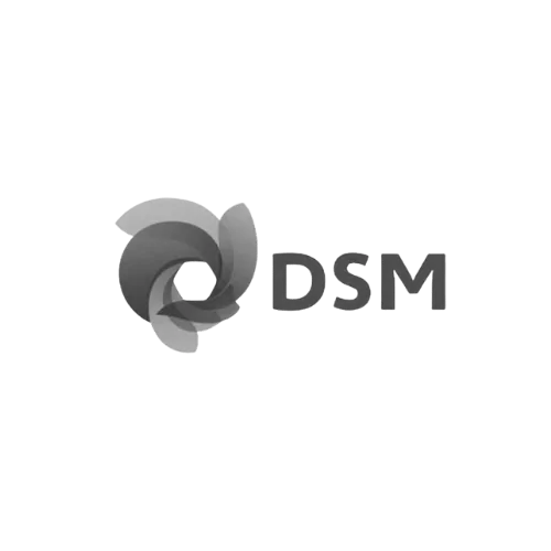 dsm